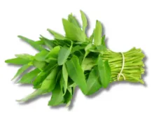 Chopstick Ramen Noodles